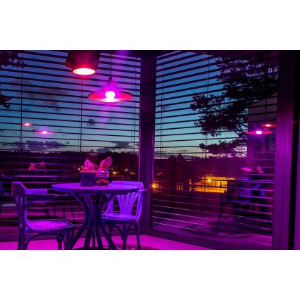 Immax NEO 07794CDO - Sæt med 3 LED RGB+CCT, dæmpbar pære E27/14W/230V 2700K-6500K Tuya Wi-Fi + fjernbetjening