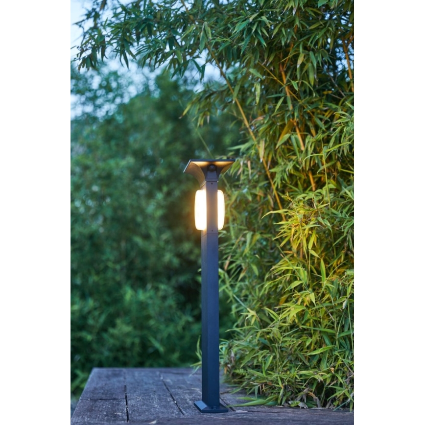 Immax NEO 07904L - LED RGB+CW/W Solcellelampe dæmpbar ANEL LED/2W/5V IP54 Tuya 2000 mAh