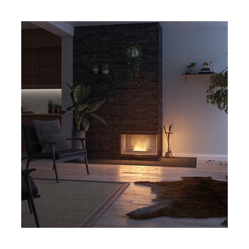 InFire - Biopejs 8x50 cm 3kW sort