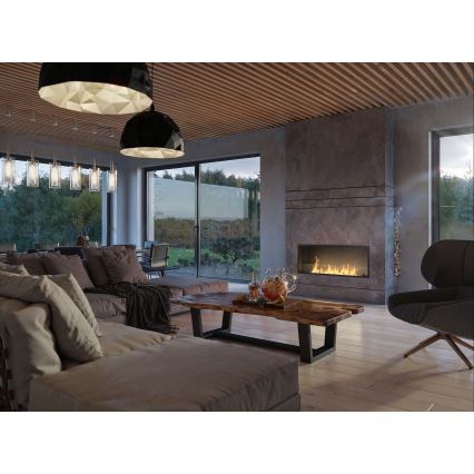 InFire - Indbygget biopejs 49,4x124,4 cm 6kW sort