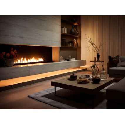 InFire - Indbygget biopejs 7,5x120 cm 7kW sort