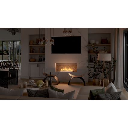 InFire - Indbygget biopejs 7,5x80 cm 6kW sort