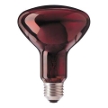 Infrarød pære HELIOS R95 E27/100W/230V