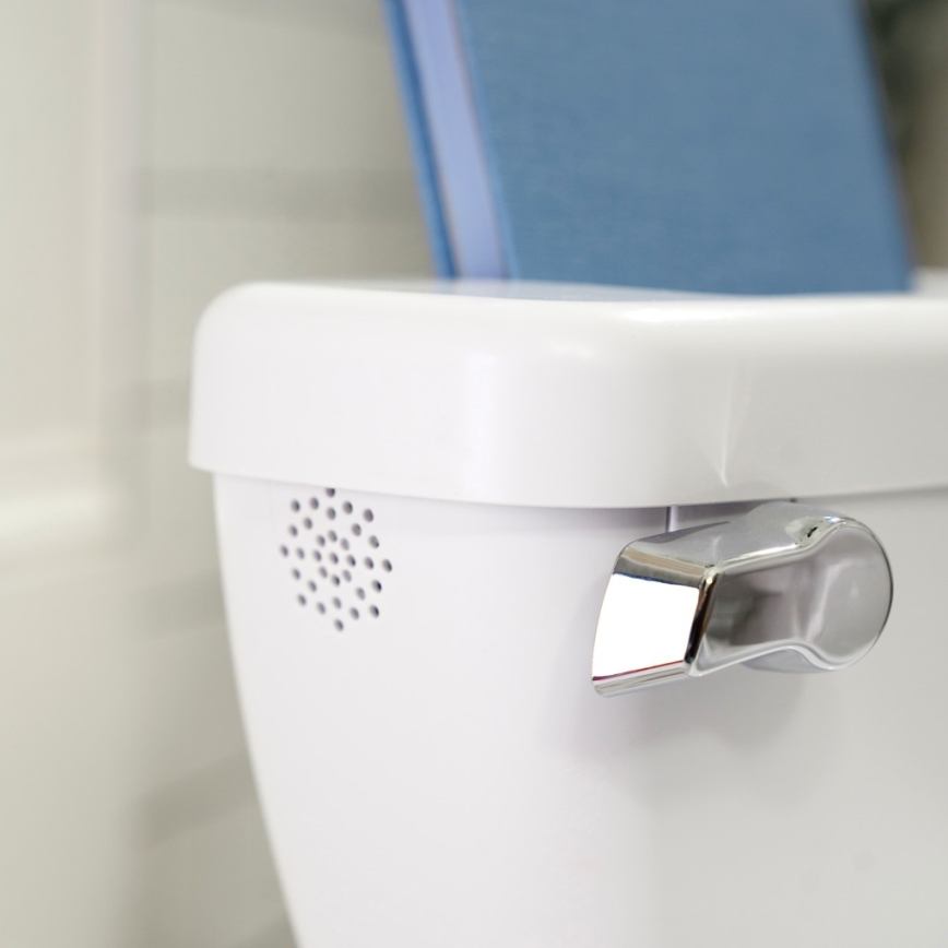 Ingenuity - MY SIZE børnetoilet med lyd, hvid, 2xAAA