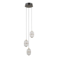ITALUX - LED-pendel på wire ALANI 3xLED/5W/230V 3000K sort/guld