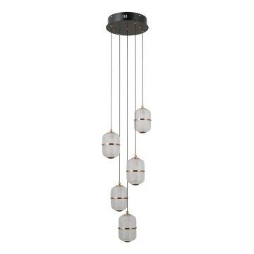 ITALUX - LED-pendel på wire ALANI 5xLED/5,6W/230V 3000K sort/guld