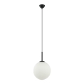 ITALUX - Loftlampe på kabel DEORE 1xE27/40W/230V Ø 30 cm sort