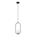 ITALUX - Loftlampe på kabel LUPUS 1xG9/25W/230V sort