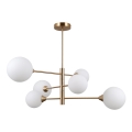 ITALUX - Loftlampe på stang EVORA 6xG9/5W/230V messing