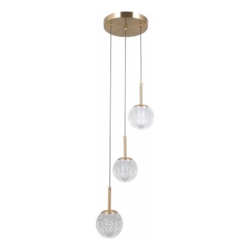 ITALUX - Pendel på kabel PADRI 3xG9/5W/230V guld
