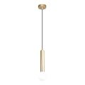 ITALUX - Pendel på ledning FILANO 1xG9/5W/230V guldfarvet