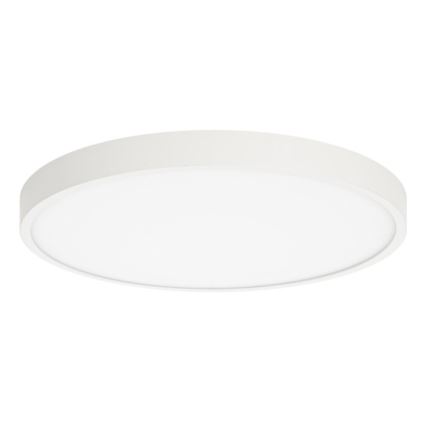 ITALUX - LED loftlampe RIBERIO LED/30W/230V 3000K hvid