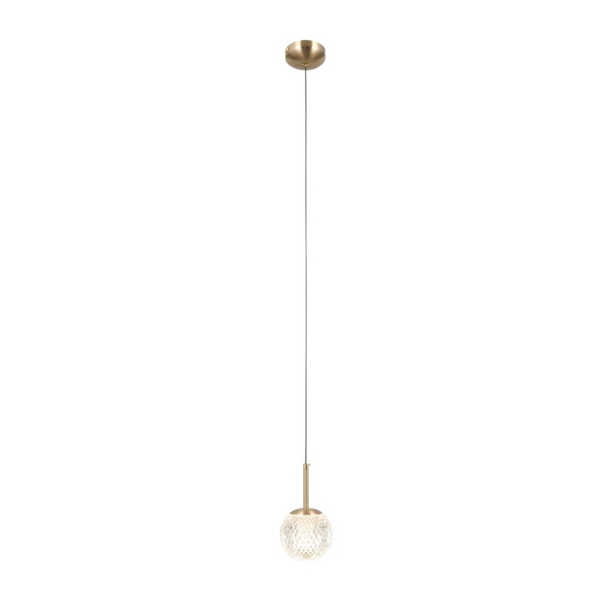 ITALUX - Pendel på wire PADRI 1xG9/5W/230V guldfarvet