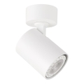 ITALUX - Spotlampe LUMSI 1xGU10/35W/230V hvid