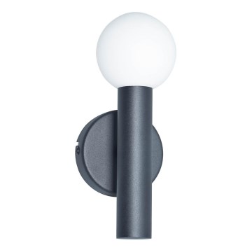 ITALUX - Væglampe FILANO 1xG9/5W/230V sort