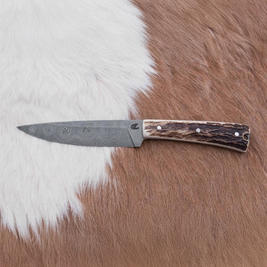 Jagtkniv 12 cm hjortegevir