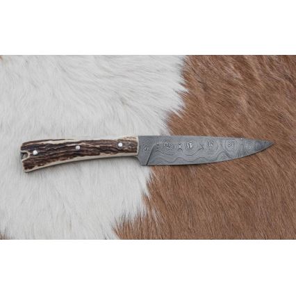 Jagtkniv 12 cm hjortegevir