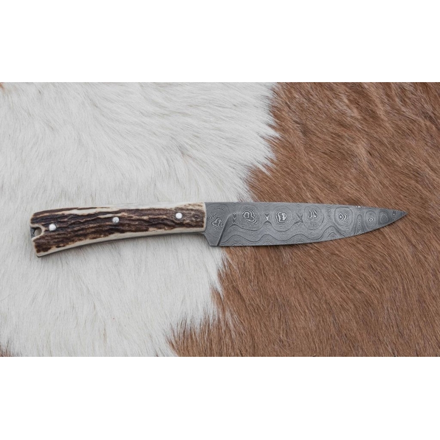 Jagtkniv 12 cm hjortegevir