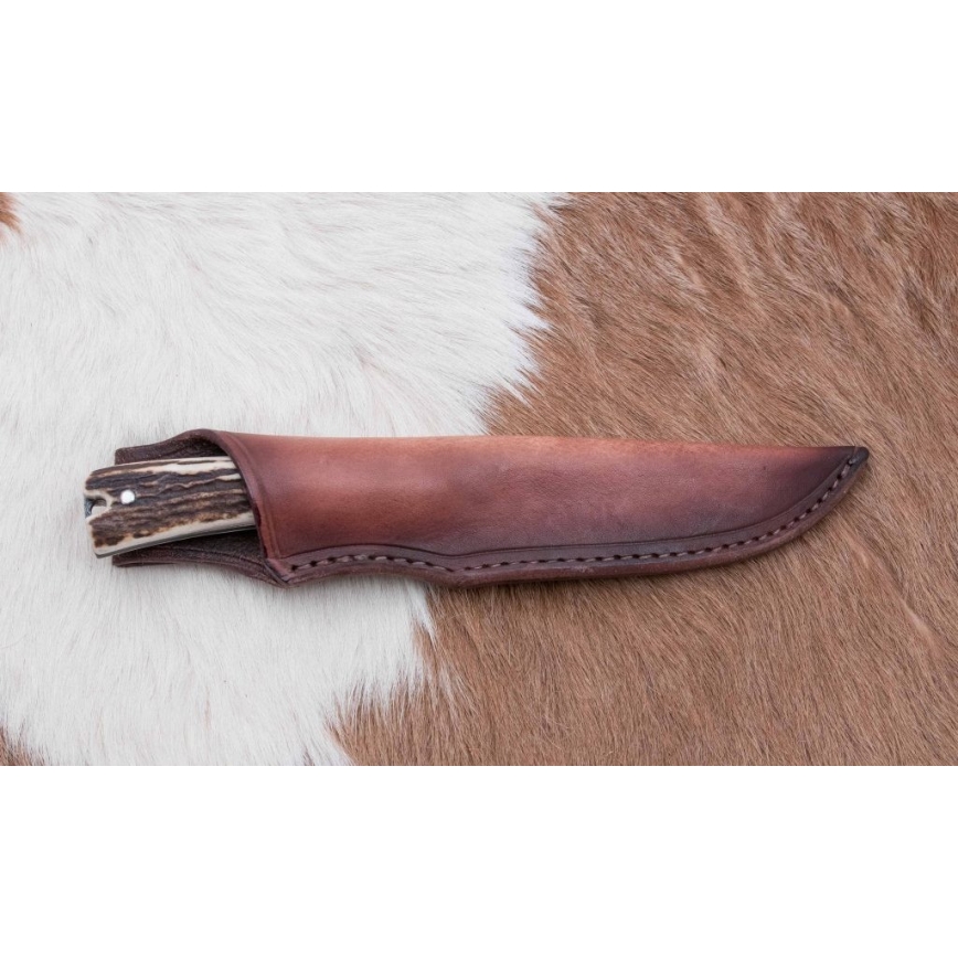 Jagtkniv 12 cm hjortegevir