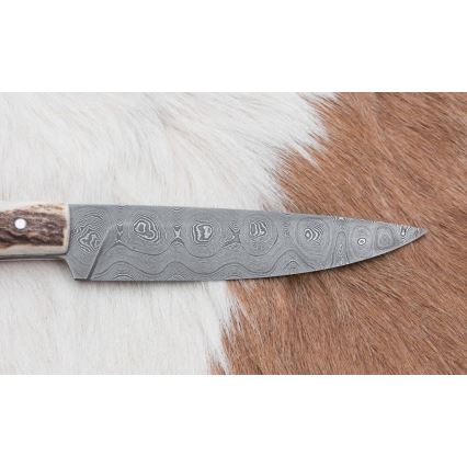 Jagtkniv 12 cm hjortegevir