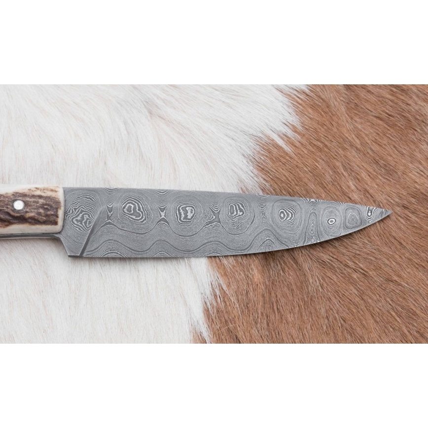 Jagtkniv 12 cm hjortegevir