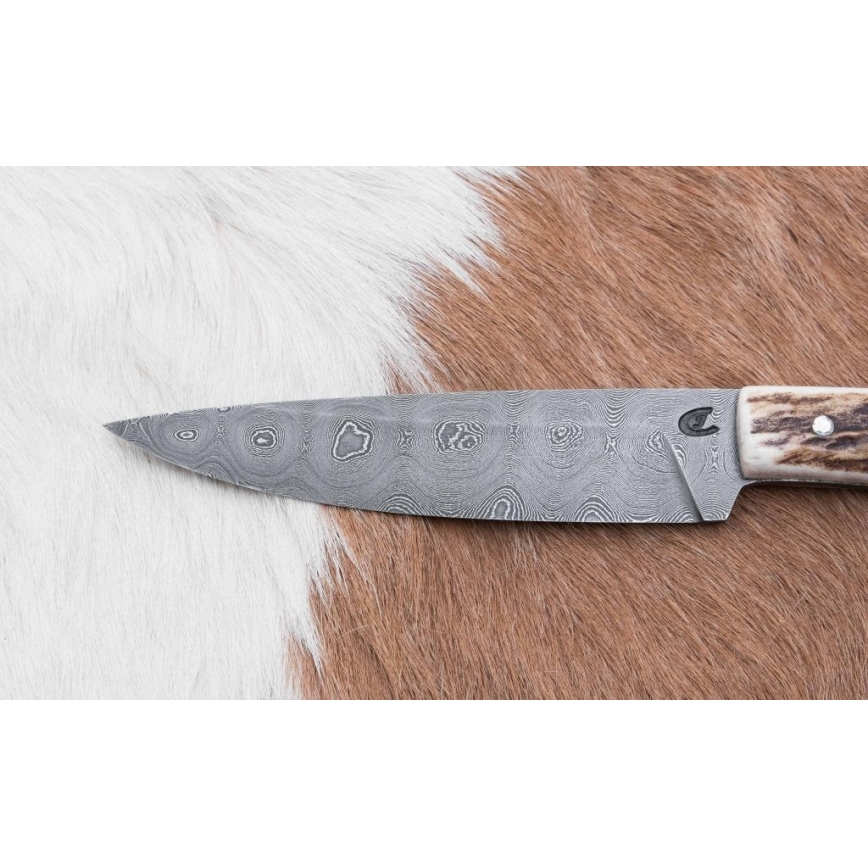 Jagtkniv 12 cm hjortegevir