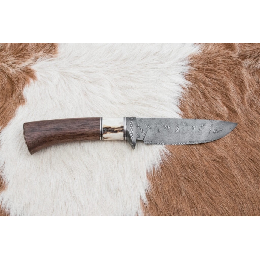 Jagtkniv Damaskus 11,8 cm valnød/hjortegevir