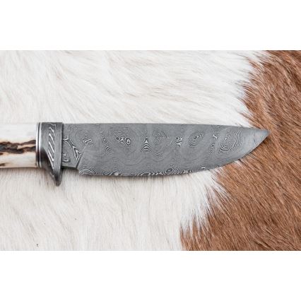 Jagtkniv Damaskus 11,8 cm valnød/hjortegevir