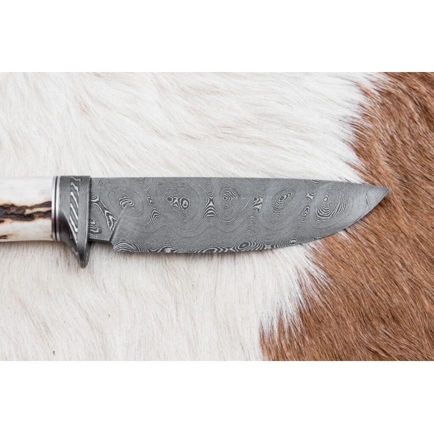 Jagtkniv Damaskus 11,8 cm valnød/hjortegevir