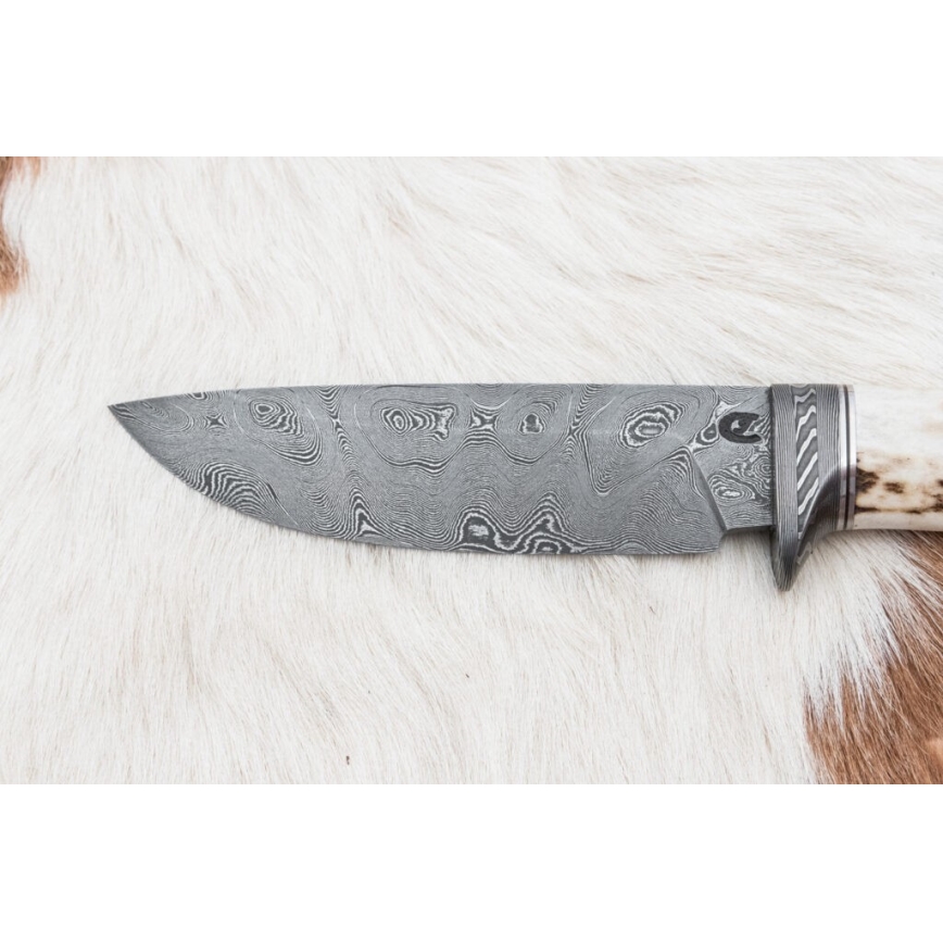 Jagtkniv Damaskus 11,8 cm valnød/hjortegevir