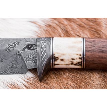 Jagtkniv Damaskus 11,8 cm valnød/hjortegevir