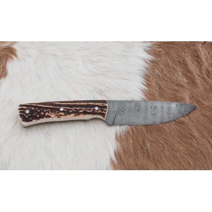 Jagtkniv Damaskus 11 cm hjortegevir