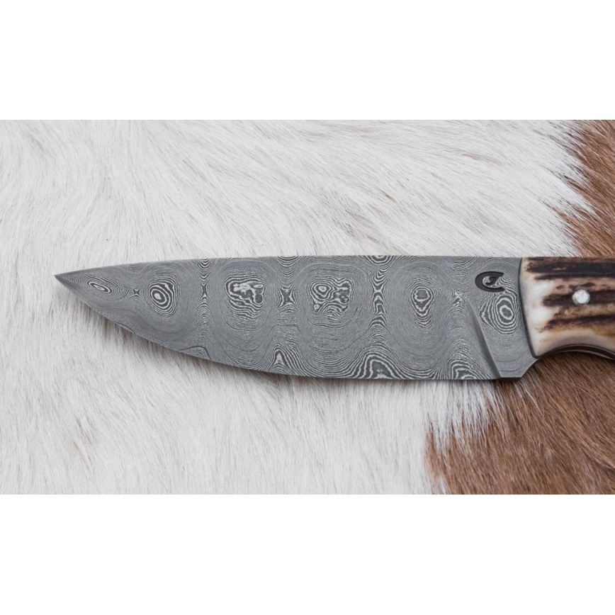 Jagtkniv Damaskus 11 cm hjortegevir