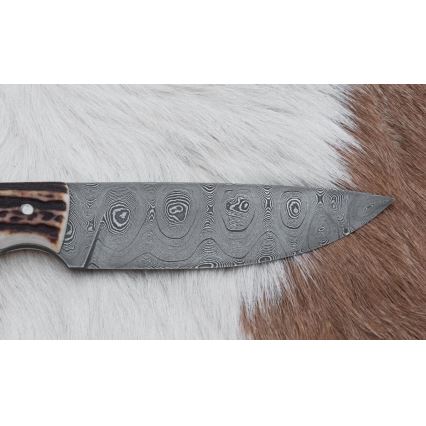 Jagtkniv Damaskus 11 cm hjortegevir
