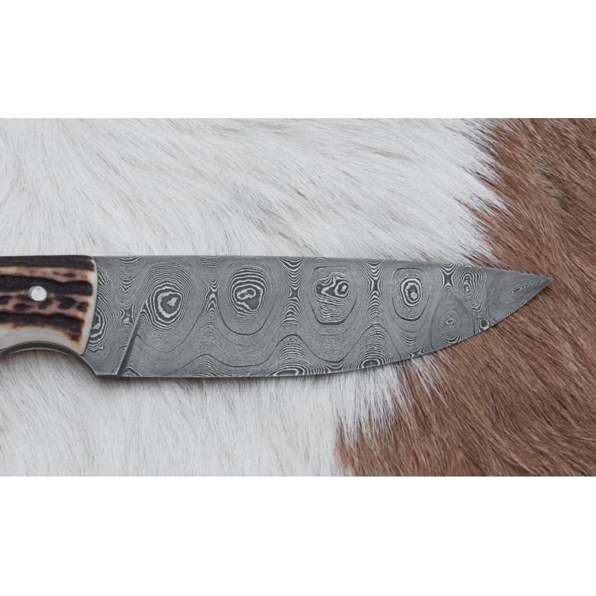 Jagtkniv Damaskus 11 cm hjortegevir