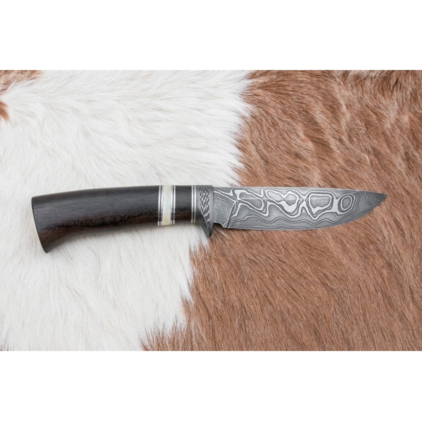 Jagtkniv Damaskus 12,7 cm ziricote/bøffelknogle