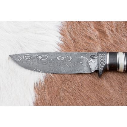 Jagtkniv Damaskus 12,7 cm ziricote/bøffelknogle