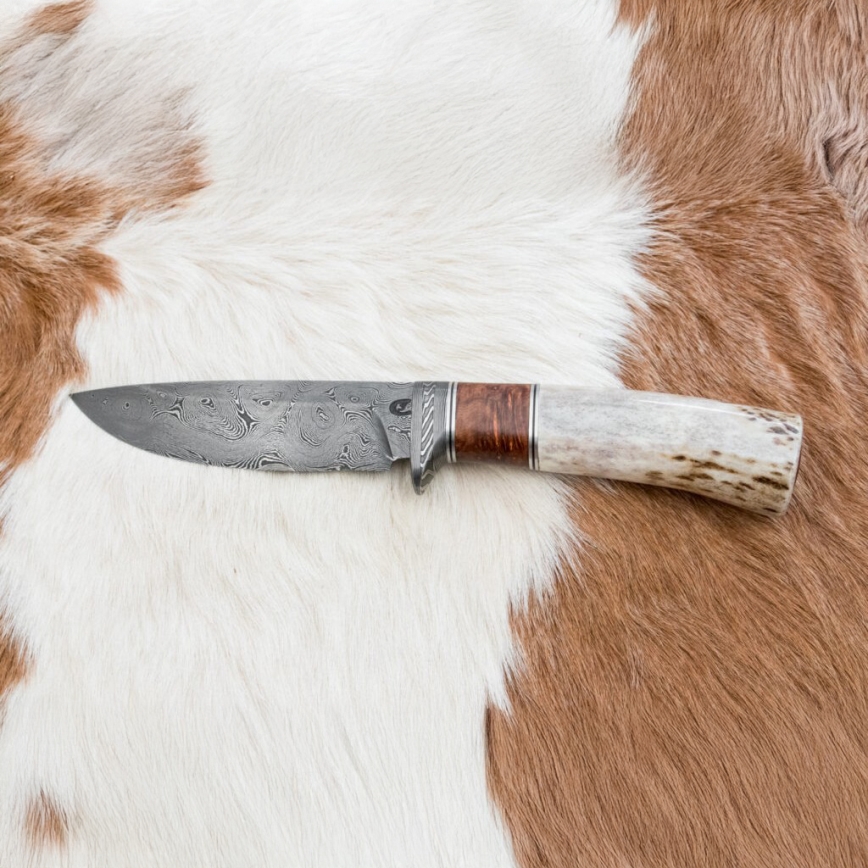 Jagtkniv Damaskus 12 cm aske/hjortegevir
