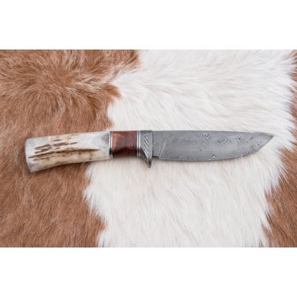 Jagtkniv Damaskus 12 cm aske/hjortegevir