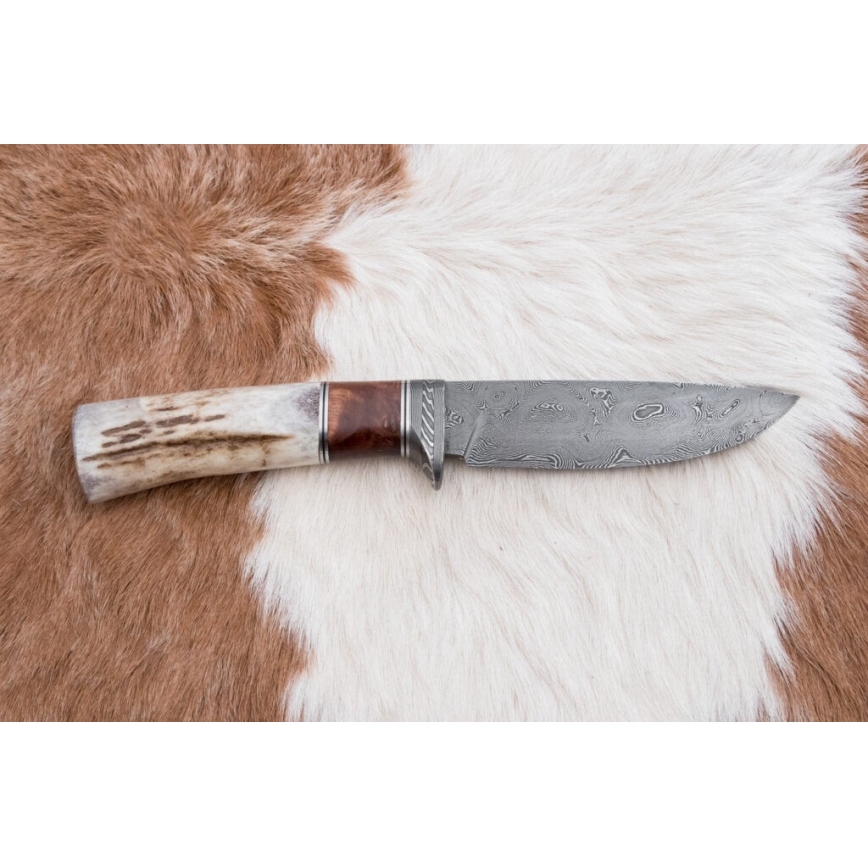 Jagtkniv Damaskus 12 cm aske/hjortegevir