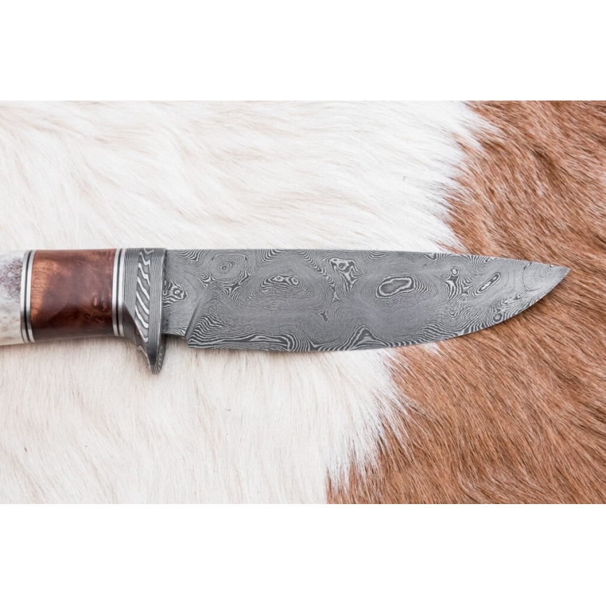 Jagtkniv Damaskus 12 cm aske/hjortegevir