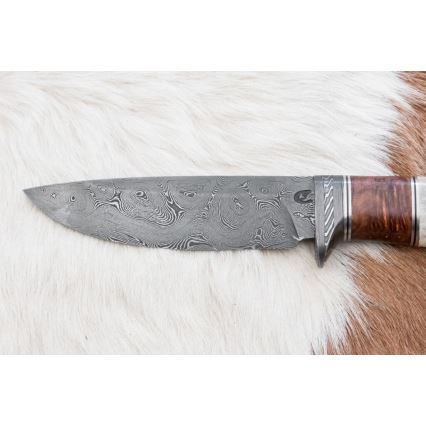 Jagtkniv Damaskus 12 cm aske/hjortegevir