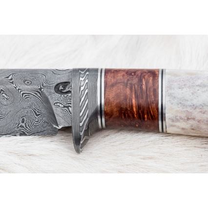 Jagtkniv Damaskus 12 cm aske/hjortegevir