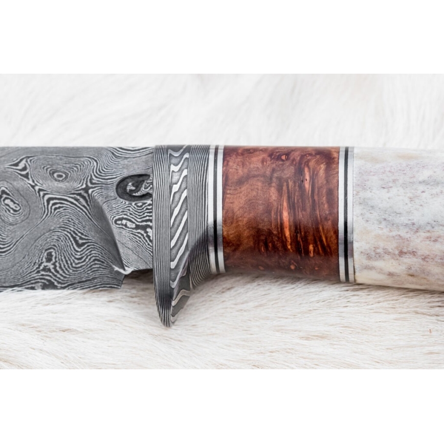 Jagtkniv Damaskus 12 cm aske/hjortegevir