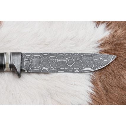 Jagtkniv Damaskus 13,8 cm Birk/kamelknogle