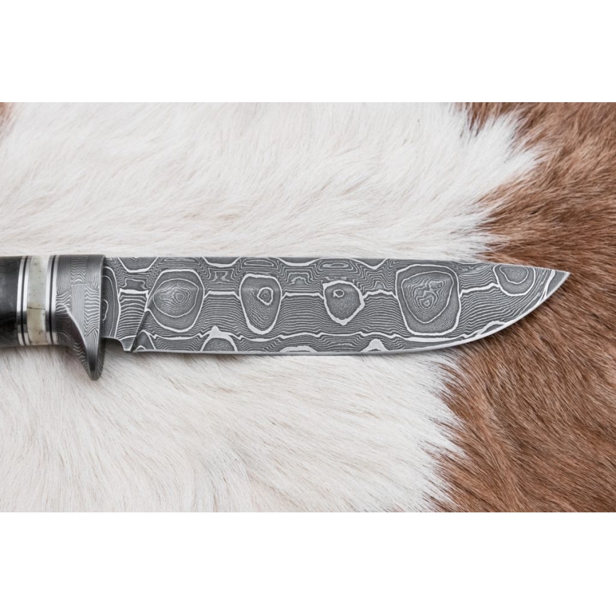 Jagtkniv Damaskus 13,8 cm Birk/kamelknogle