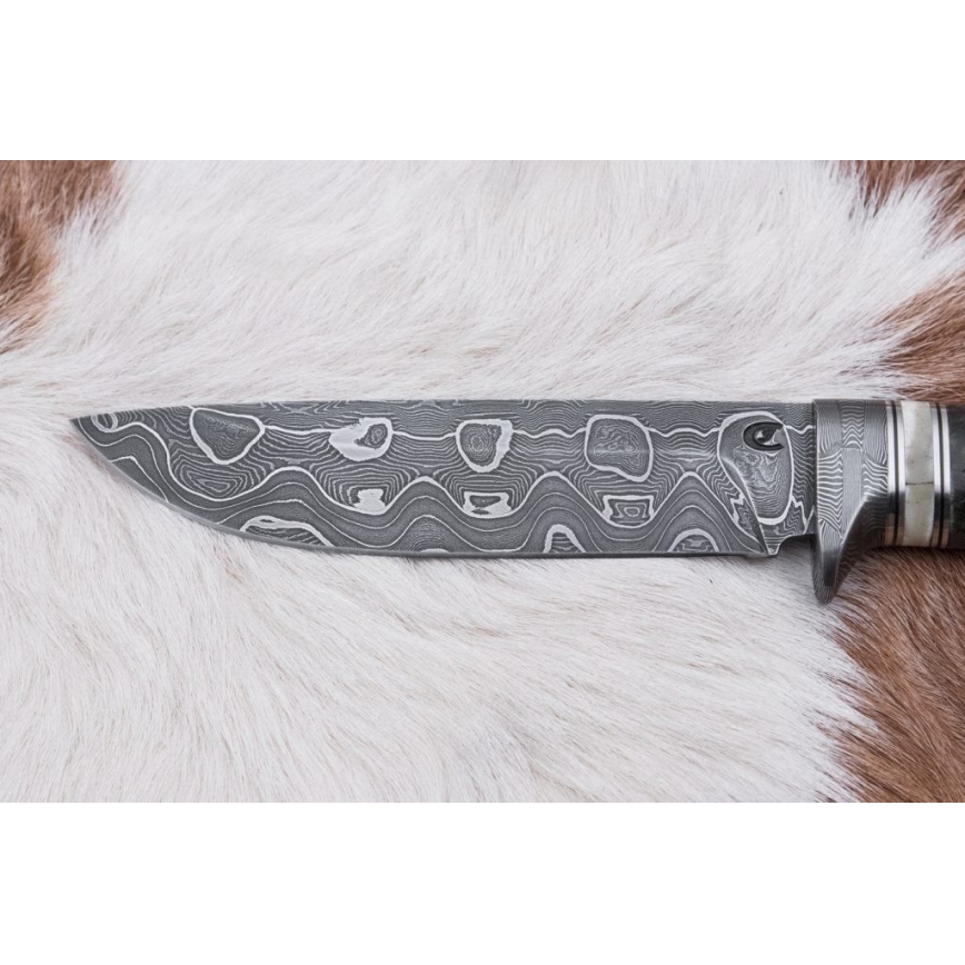 Jagtkniv Damaskus 13,8 cm Birk/kamelknogle