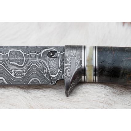 Jagtkniv Damaskus 13,8 cm Birk/kamelknogle
