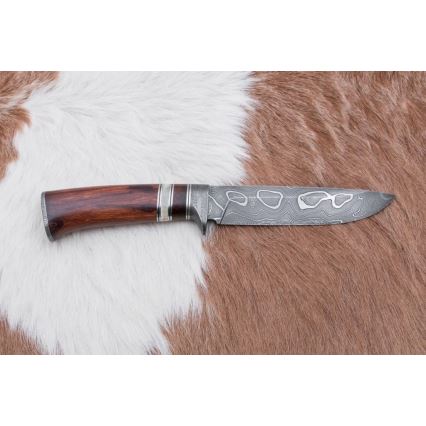 Jagtkniv Damaskus 13,8 cm ironwood/bøffelknogle