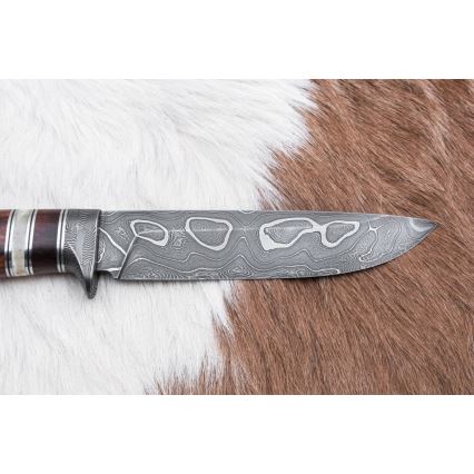 Jagtkniv Damaskus 13,8 cm ironwood/bøffelknogle